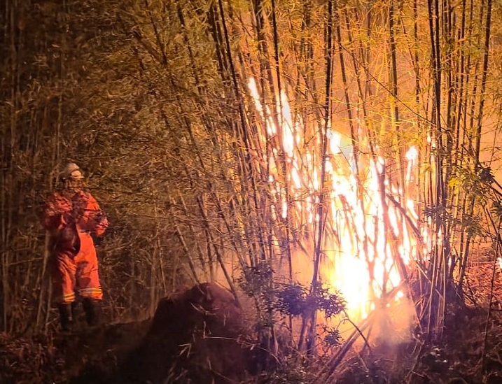 Defesa Civil combate queimada às margens de rodovia