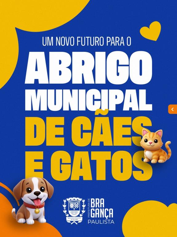 Abrigo Municipal de cães e gatos passará por reestruturação completa