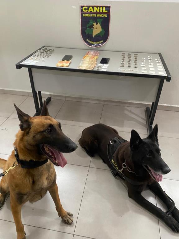 Operação Águia da Vida apreende grande quantidade de drogas