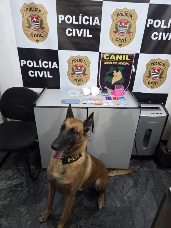 Cão Iron auxilia equipes de segurança em apreensão de drogas