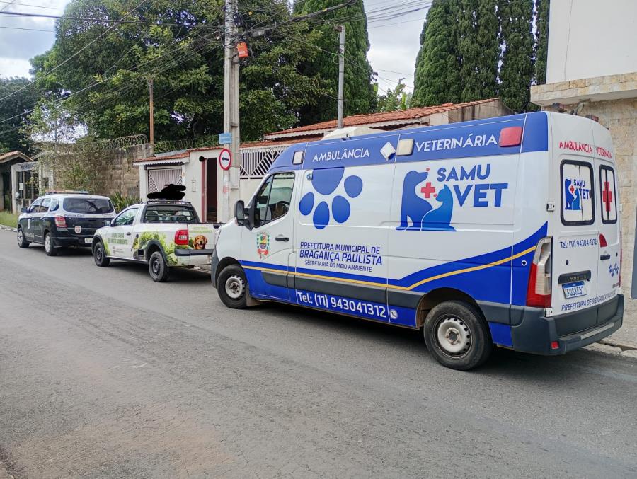 DIBEM e Polícia Civil resgatam cadela vítima de maus-tratos em Bragança Paulista