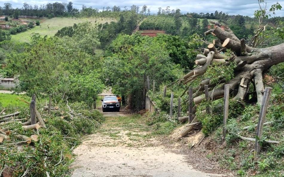 Chuva moderada e ventos de 44 km/h são registrados em Bragança Paulista