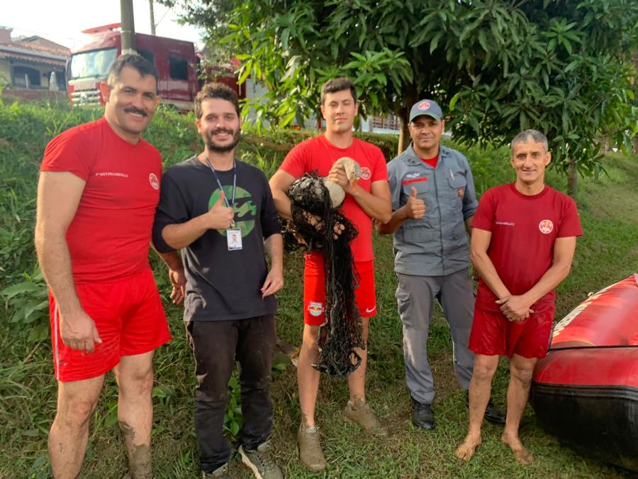 Divisão de Bem-Estar Animal resgata ganso e remove isca artificial presa em seu pescoço   