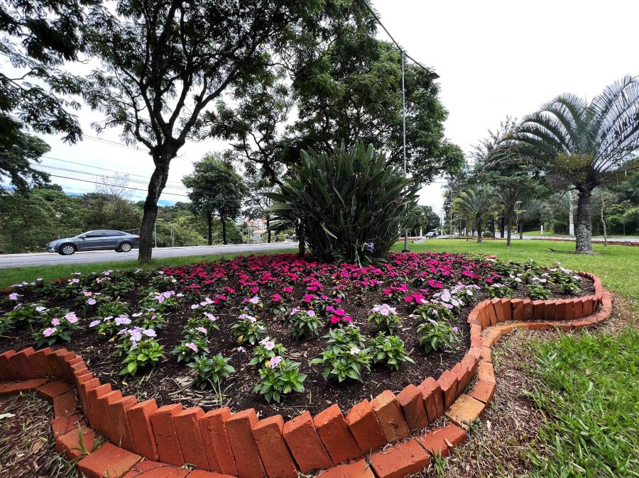Canteiros deixam Bragança Paulista mais florida