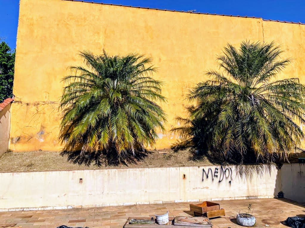 Prefeitura finaliza ações em residência no bairro Jardim Califórnia