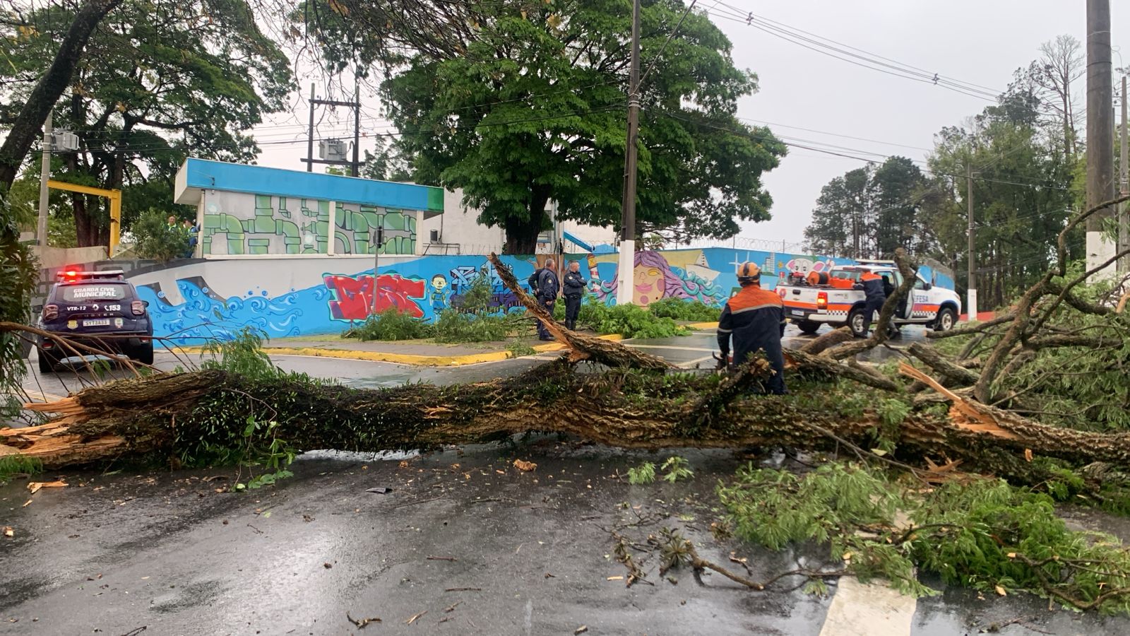 Bragança Paulista registra 80 ocorrências devido aos fortes ventos desta segunda-feira (22/09)