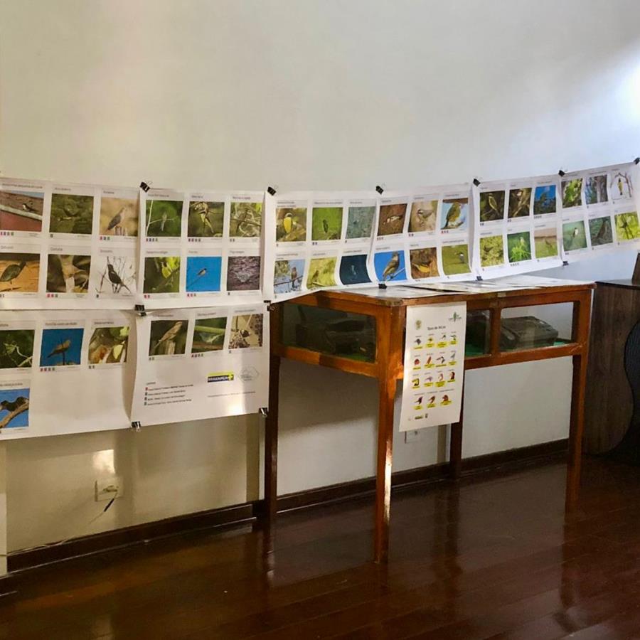 Mostra Itinerante “Plantas e Aves da Mata Atlântica” está no Museu do Telefone até domingo (30/06)