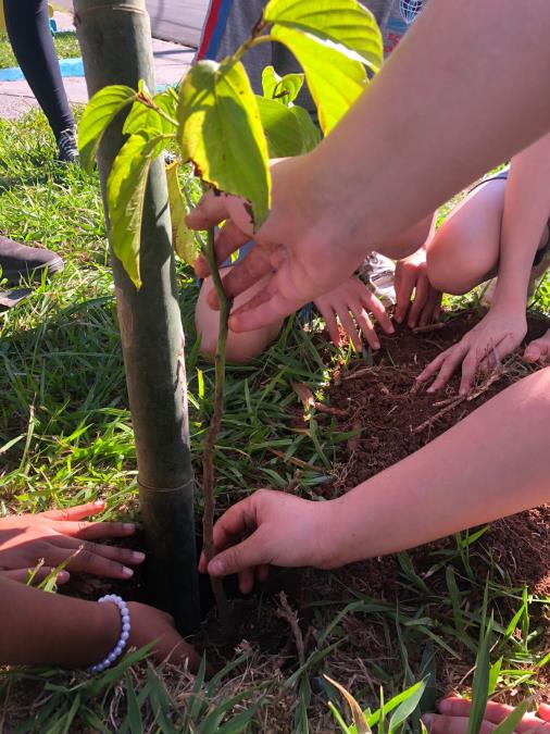 Prefeitura realiza plantio de mudas nativas na Praça Benedito Terrible