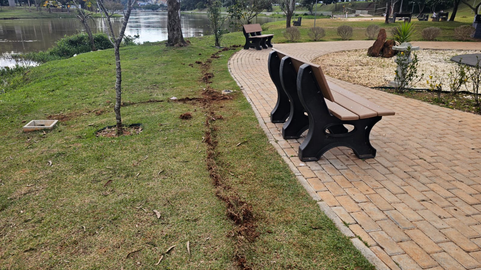 Ladrões furtam fios e cabos do jardim japonês no Lago do Taboão