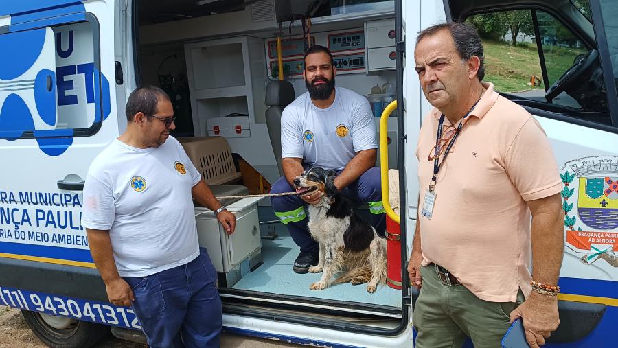 DIBEM resgata cachorro em situação de maus-tratos