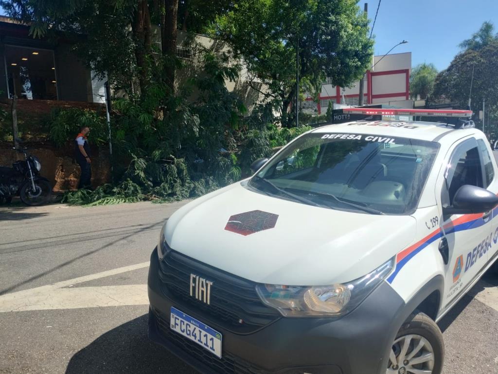 Ocorrência com queda de galho é registrada na Avenida São Francisco de Assis