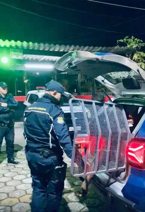 GCM prende homem em flagrante por dano no Rodoterminal