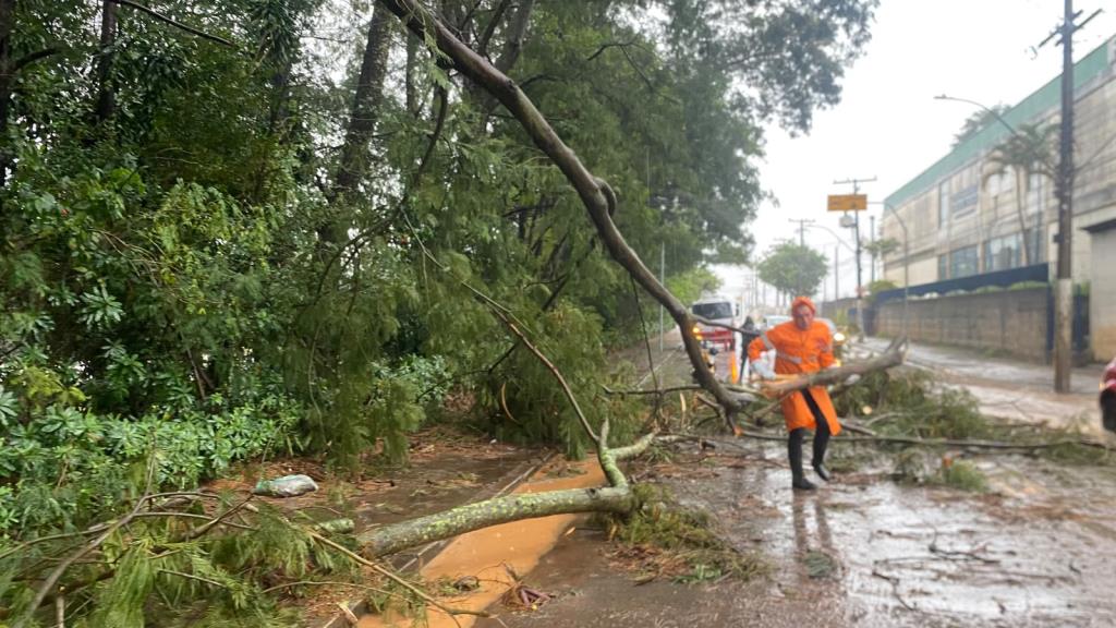 Defesa Civil registra 42,6 mm de chuva e ventos de até 92 km/h