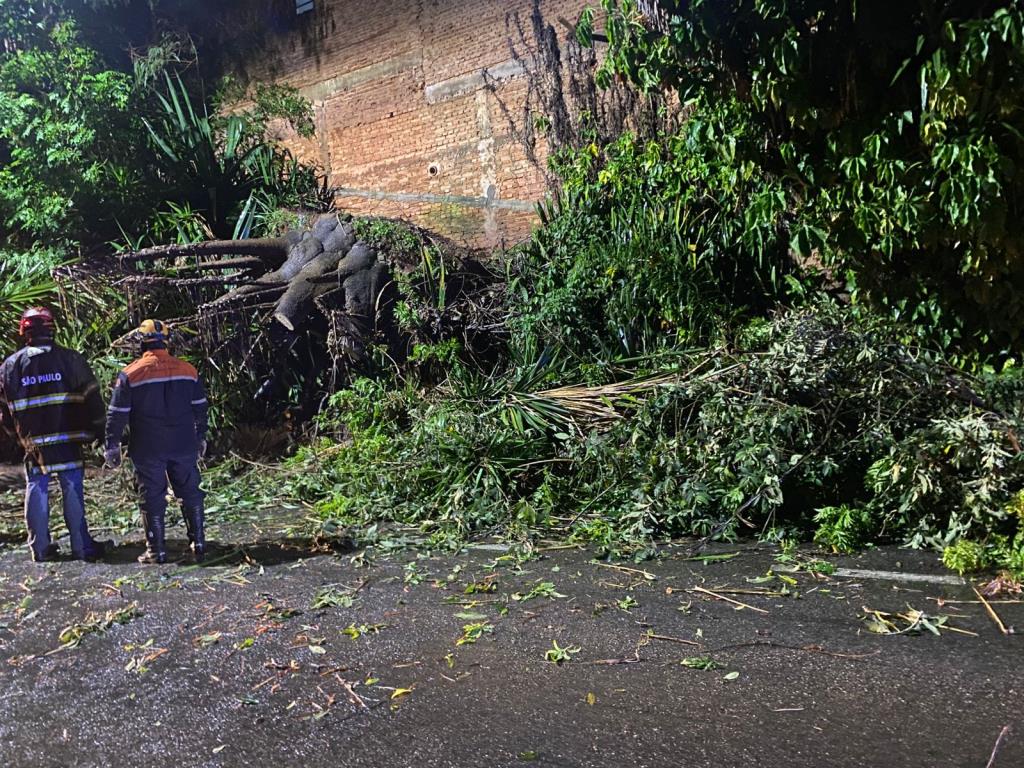 Chuva intensa atinge a cidade e mobiliza Defesa Civil