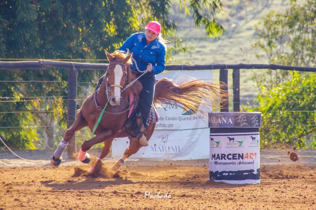 2ª etapa do 4º Campeonato de Cavalo Quarto de Milha será realizada em 17 de janeiro