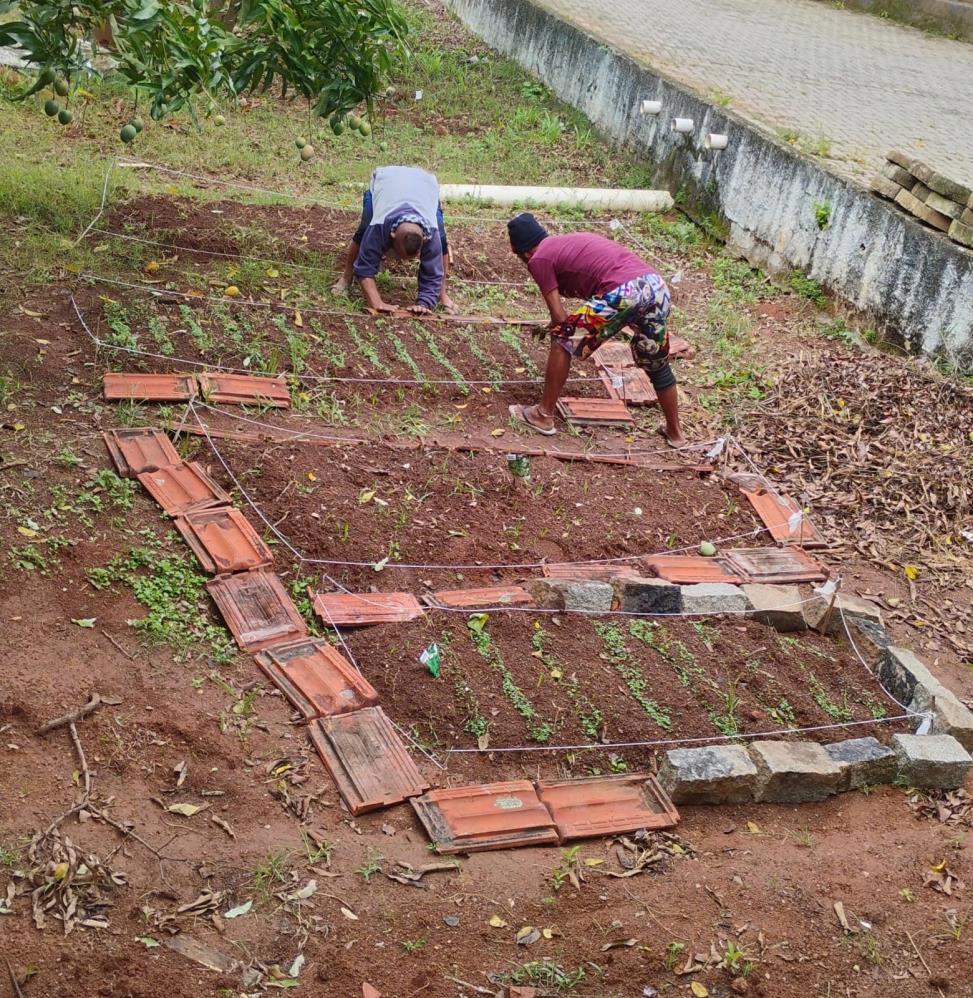 SEMADS executa projeto de Horta Socioeducativa para Pessoas em Situação de Rua no Serviço Especializado em Abordagem Social (SEAS)