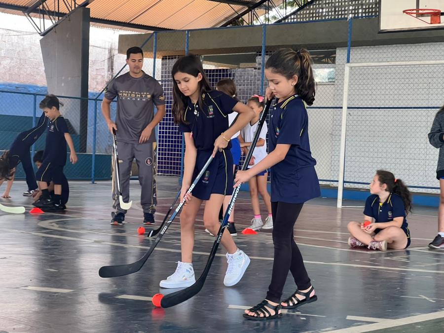 Hóquei no Gelo - Brasil Escola