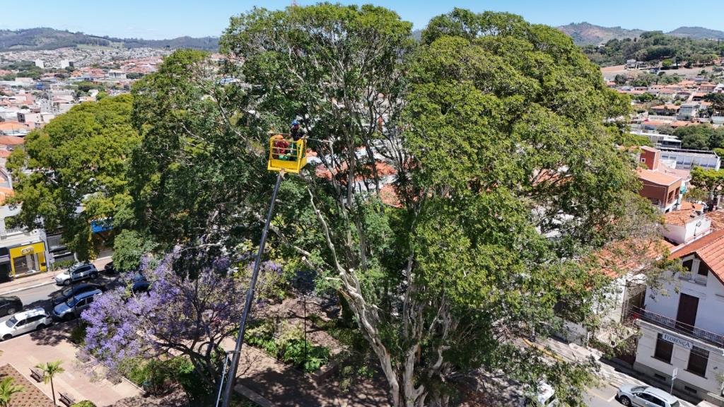 Secretaria de Serviços realiza retirada preventiva de árvores na Praça José Bonifácio