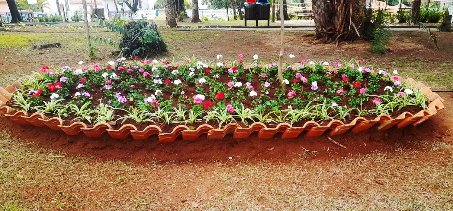 Canteiros de flores são destaques em vários pontos da cidade - Prefeitura  de Bragança Paulista