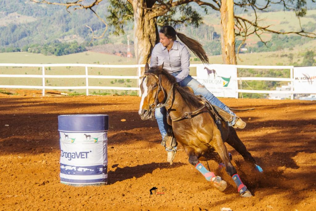 Última etapa do 4º Campeonato de Cavalo Quarto de Milha movimenta o Posto de Monta neste sábado (27/06)