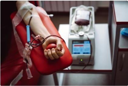 Hospital de Mongaguá mobiliza 152 doadores de sangue em campanhas realizadas em 2025