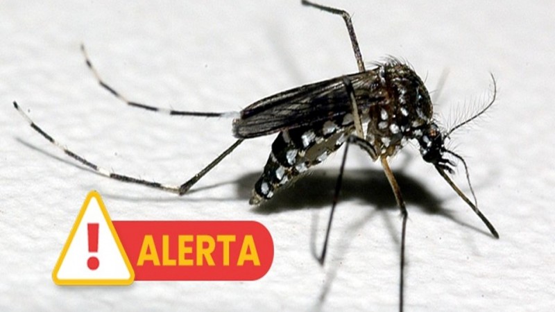 Situação De Emergência Em Saúde Pública Para Dengue é Decretada No Paraná Prefeitura De 
