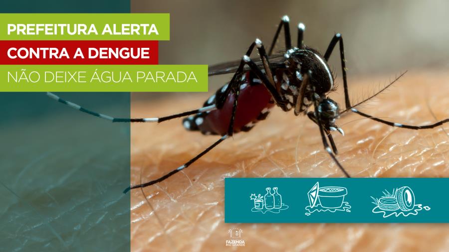 Prefeitura alerta sobre a dengue e reforça ações de combate aos criadouros  do Aedes Aegypti - Prefeitura de Fazenda Rio Grande