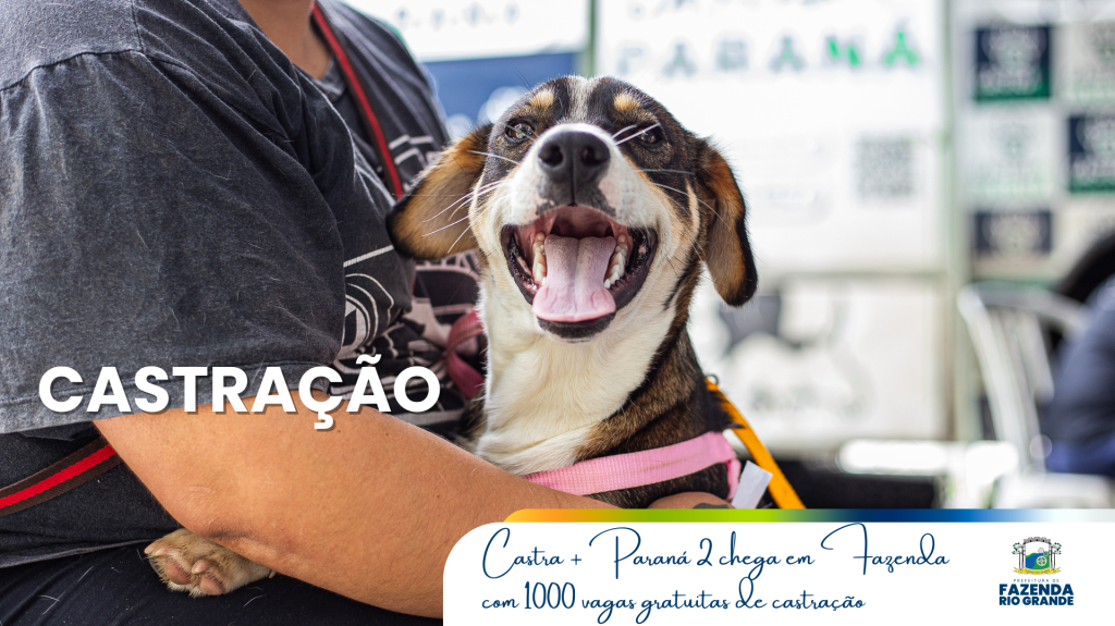 Fazenda Rio Grande recebe ação do Programa Castra+ Paraná 2; veja como participar