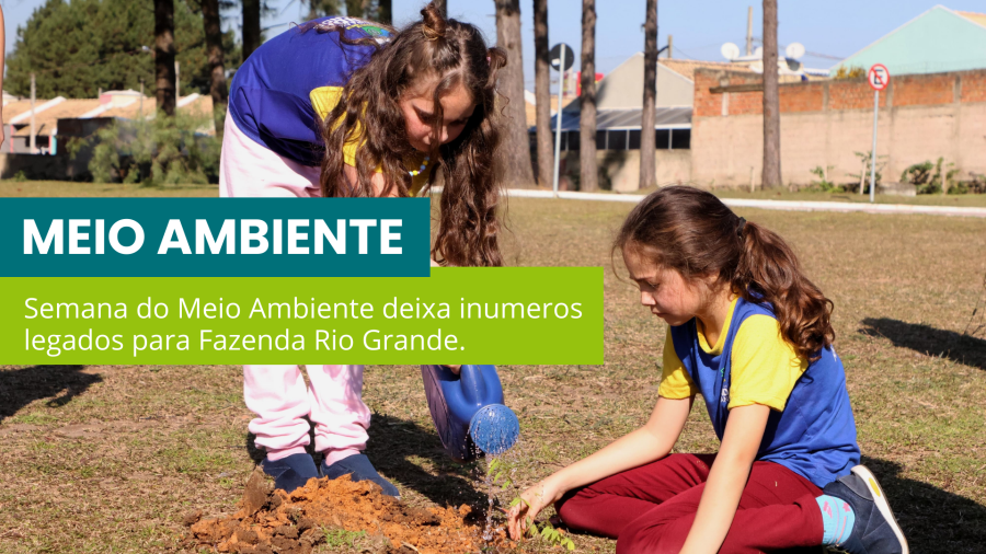 Semana do Meio Ambiente gera interação e conscientização sobre o tema