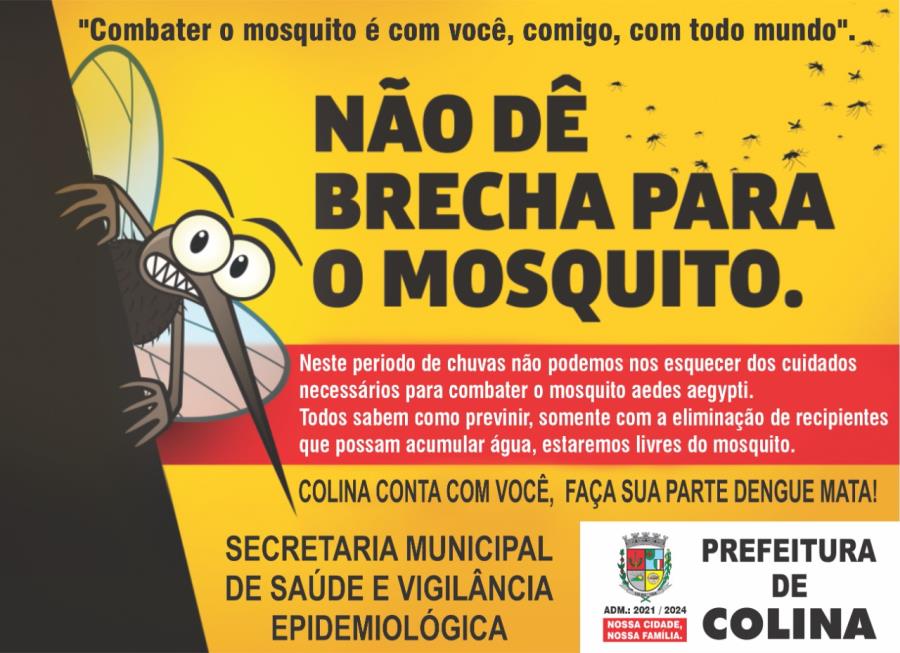 Avaliação de Densidade Larvária deixa Colina em alerta para a dengue
