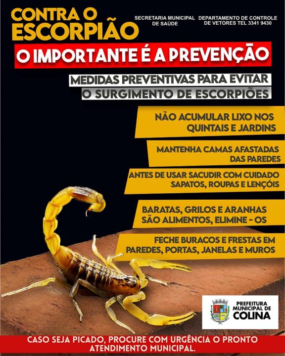 Prevenção e Controle de Escorpiões: Orientações da Secretaria Municipal da Saúde