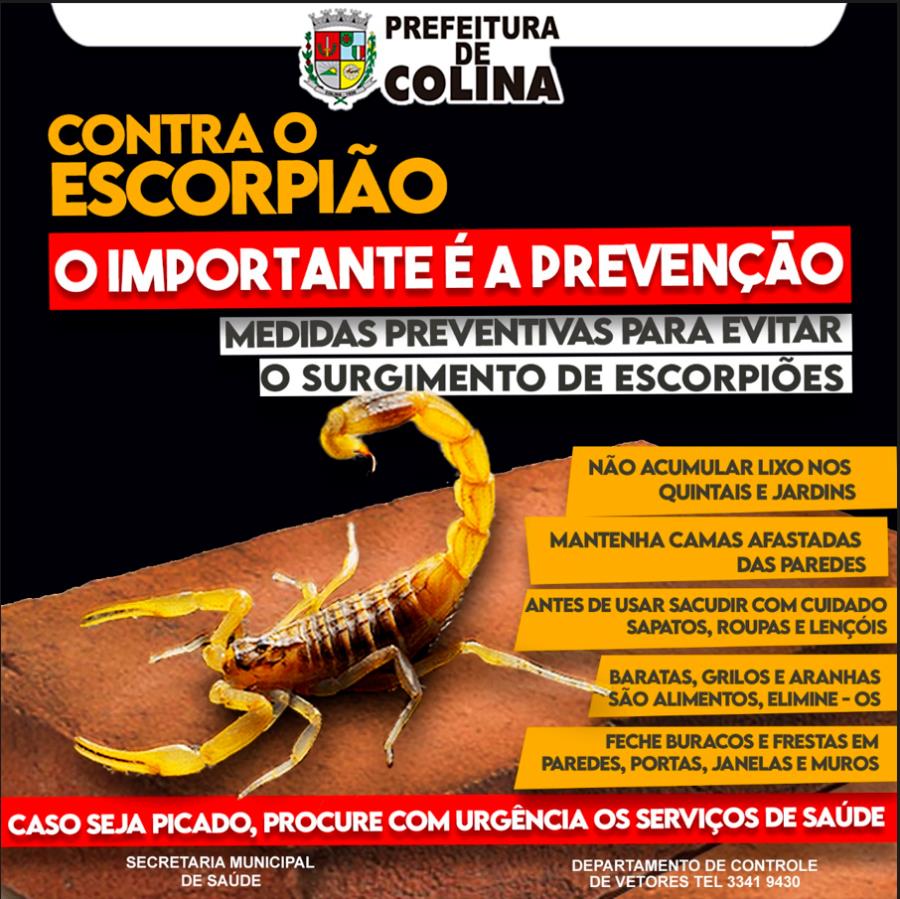 Prefeitura de Colina alerta sobre incidência de escorpiões