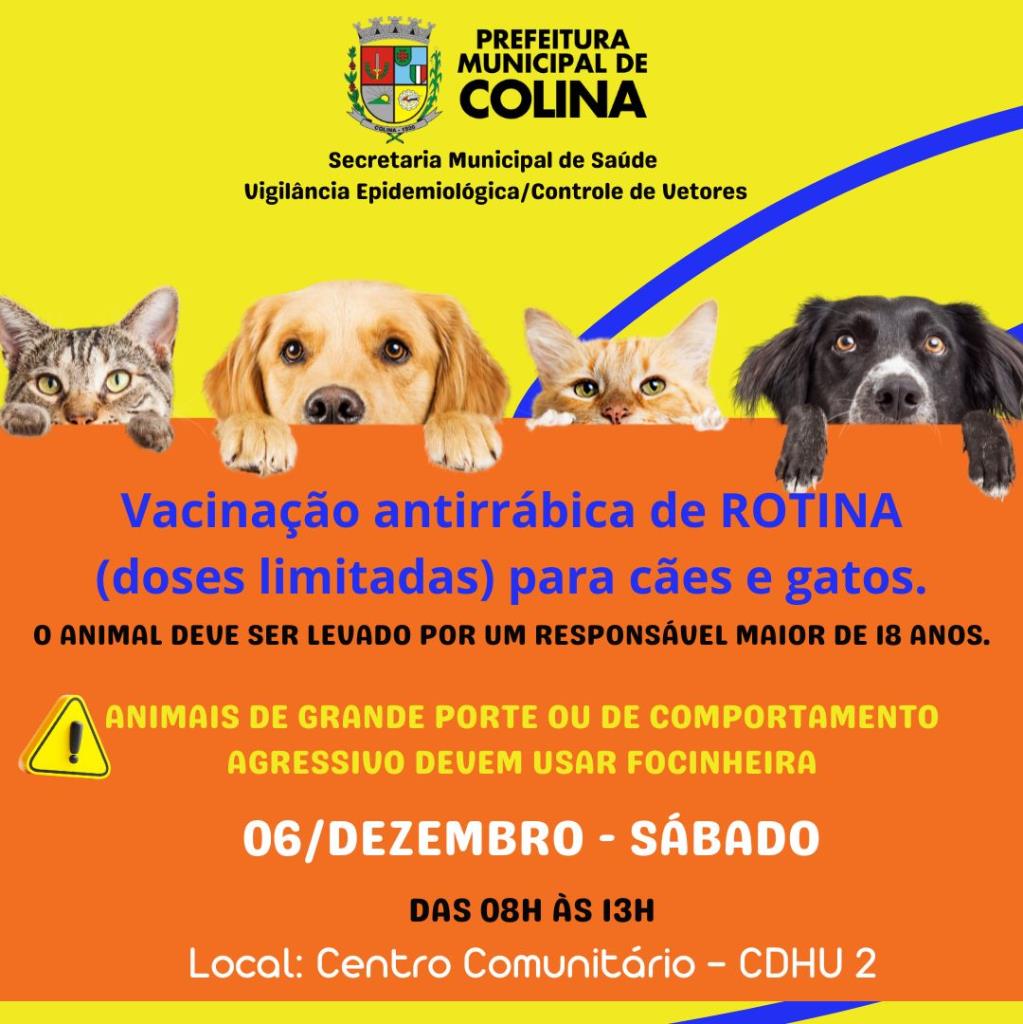 É Neste Sábado: Campanha de Vacinação Antirrábica