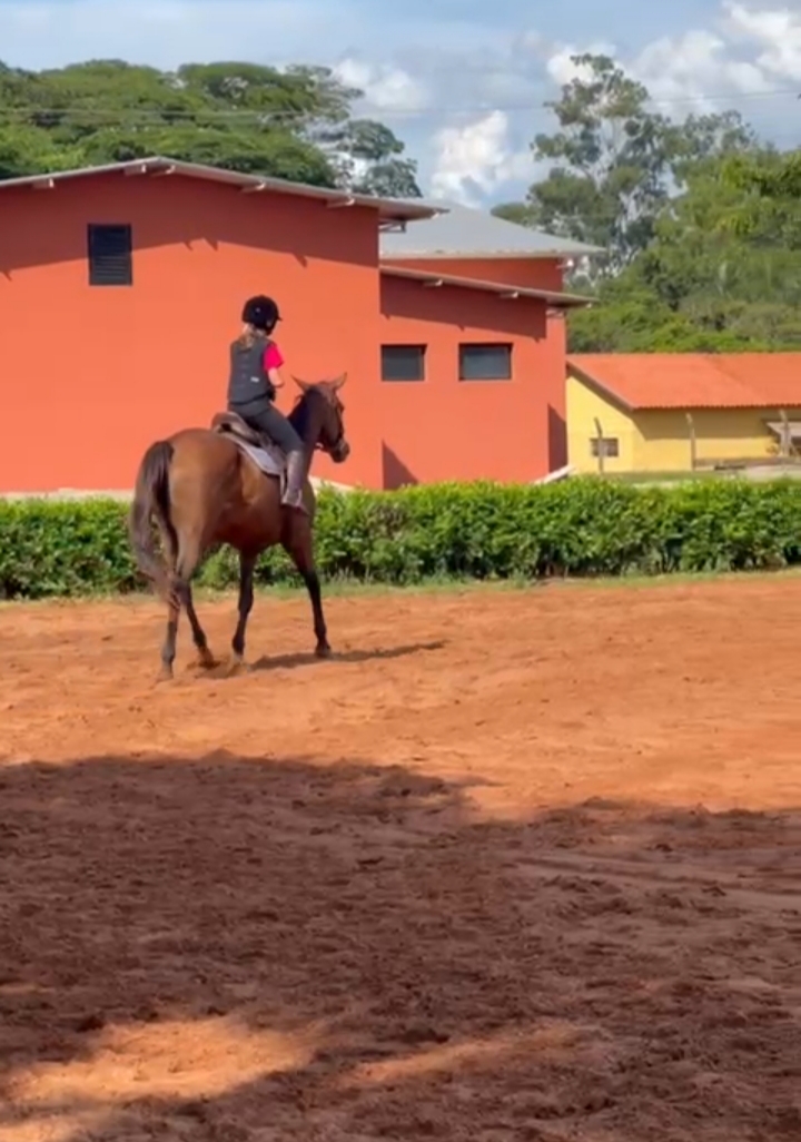 Projeto Municipal “Equitação Educativa”: Esporte e Inclusão para Todos