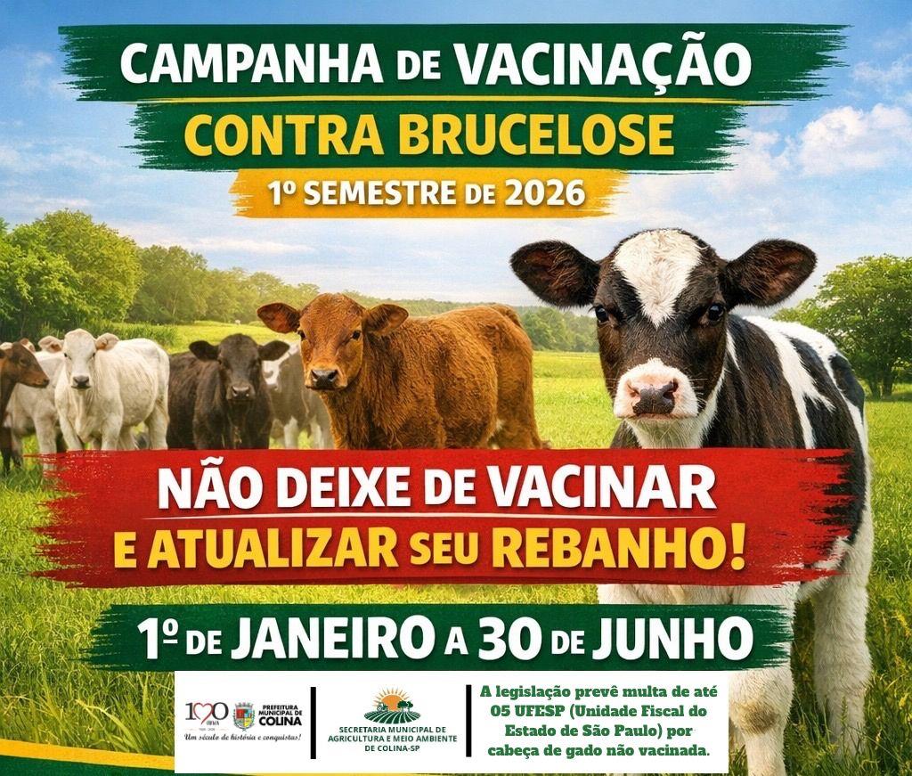 Colina reforça vacinação contra a brucelose e atualização obrigatória de rebanhos
