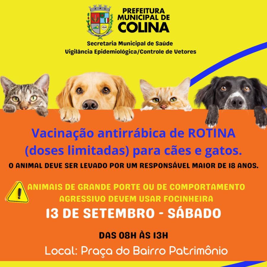 Vacinação Antirrábica de Cães e Gatos – Rotina em Colina