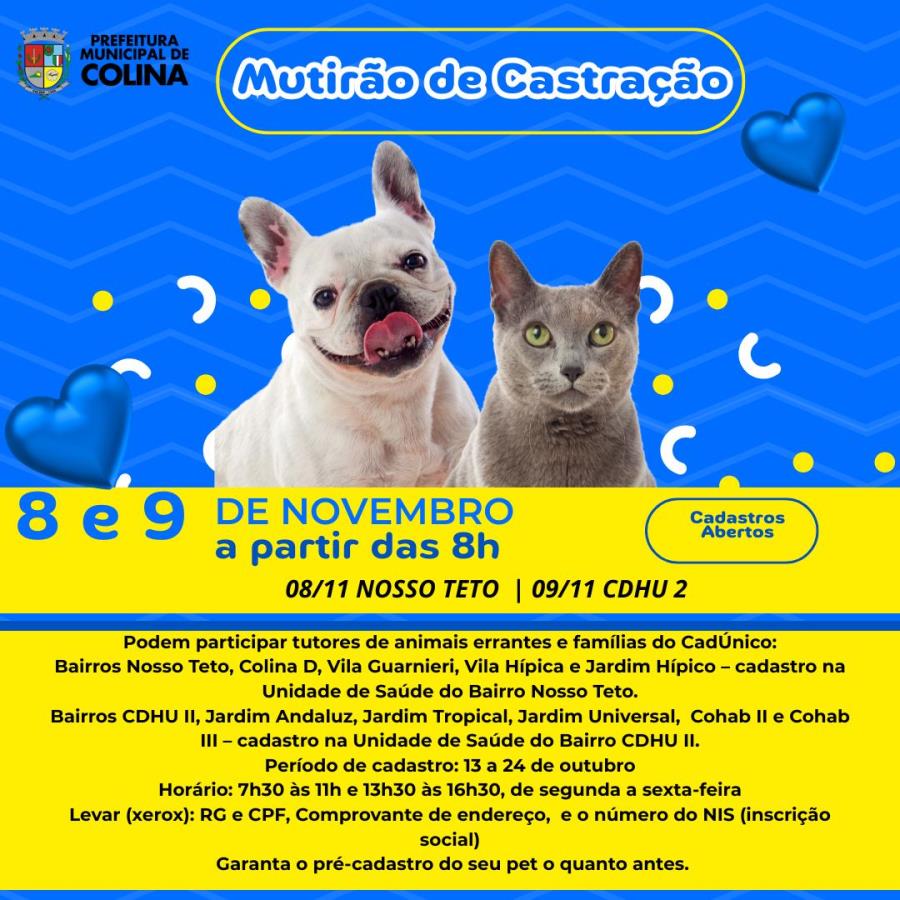 Colina reforça a proteção animal com novo Mutirão de Castração