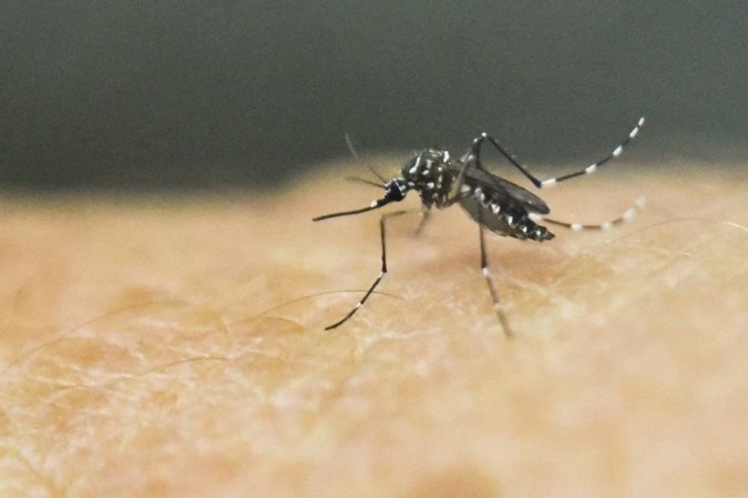 Combate à Dengue: Saúde Municipal alerta para reforço nos cuidados