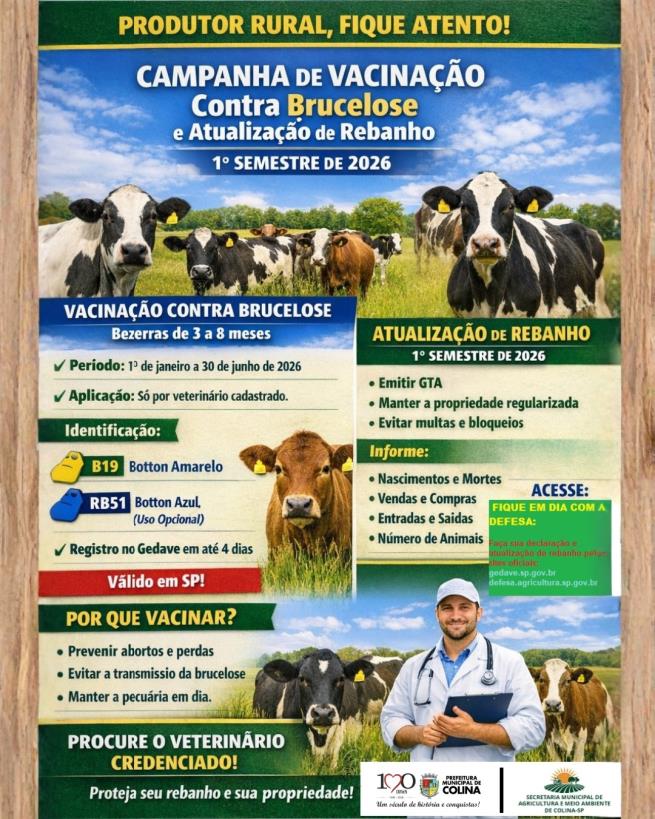 Colina reforça campanha de vacinação contra brucelose e atualização obrigatória de rebanho
