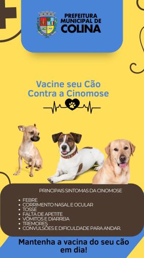 Saúde Animal em Foco: A Importância da Vacinação Contra a Cinomose