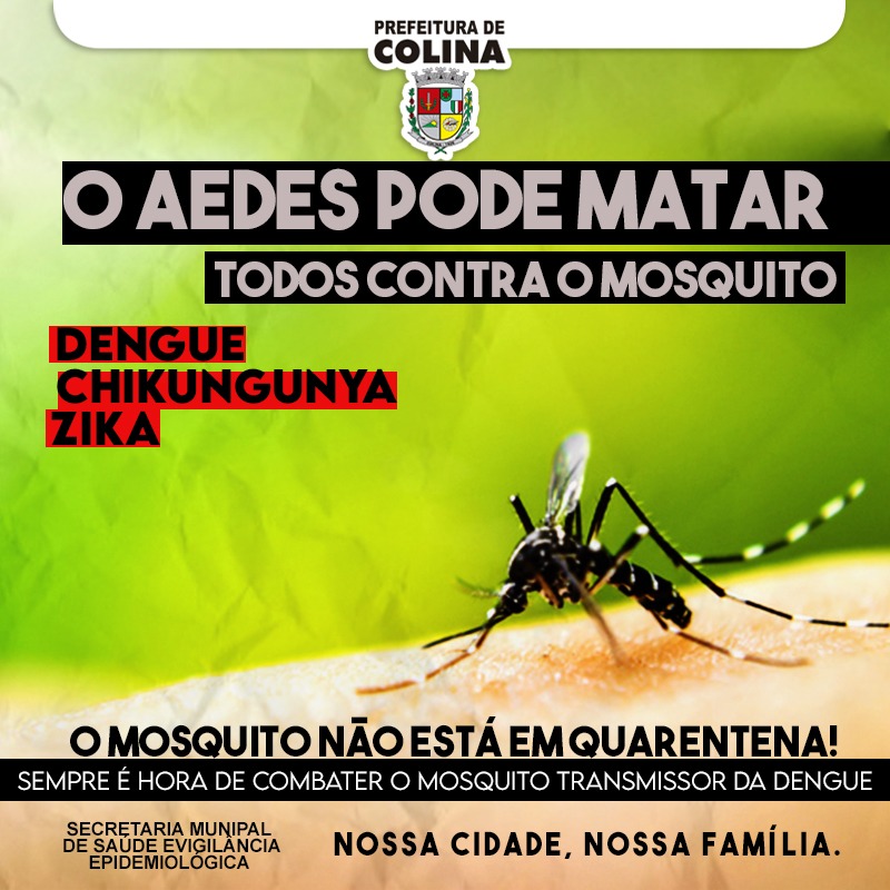 Prefeitura de Colina registra 03 casos de Dengue neste ano