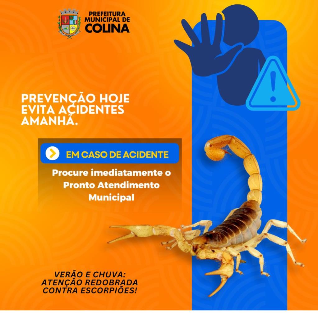 Atenção redobrada no verão: prevenção e cuidados contra acidentes com escorpiões