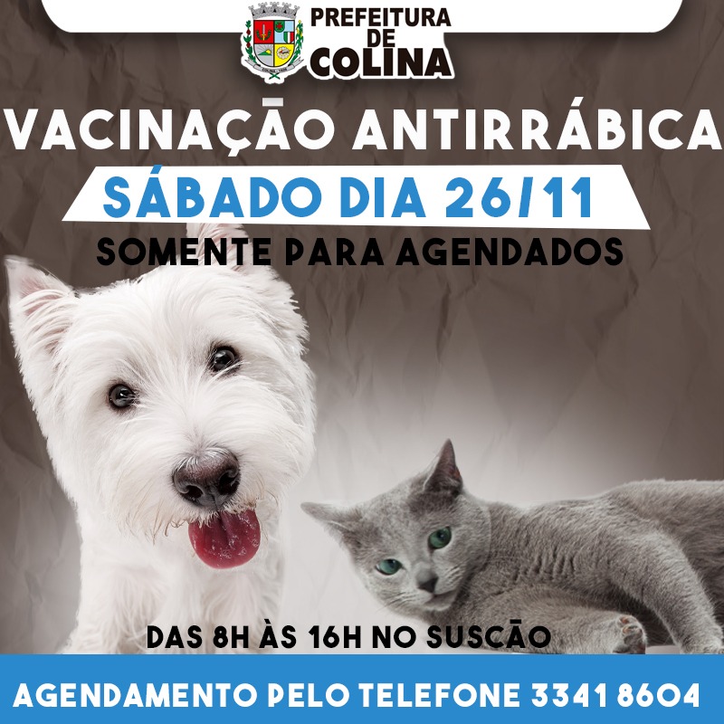 Sábado, 26 de novembro, tem vacinação Antirrábica em Colina