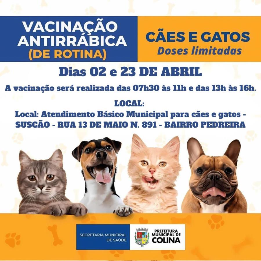 Agendamento para Vacinação de Rotina Antirrábica para Cães e Gatos
