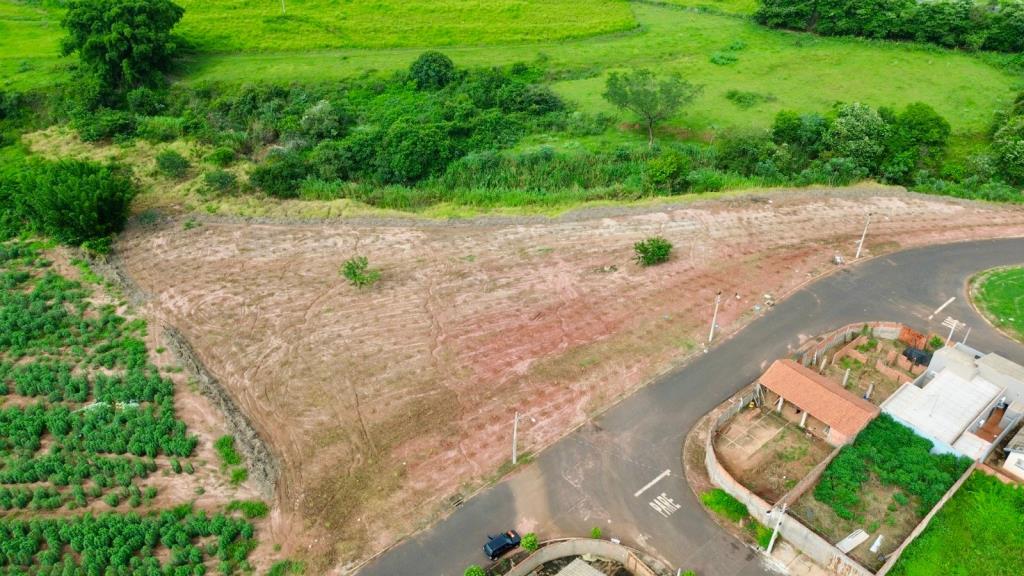 Bairro Califórnia recebe ação de reflorestamento com mudas nativas