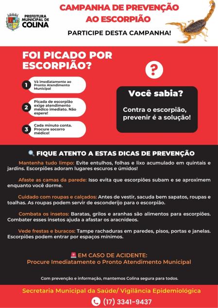 Período de Reprodução dos Escorpiões Exige Atenção Redobrada da População