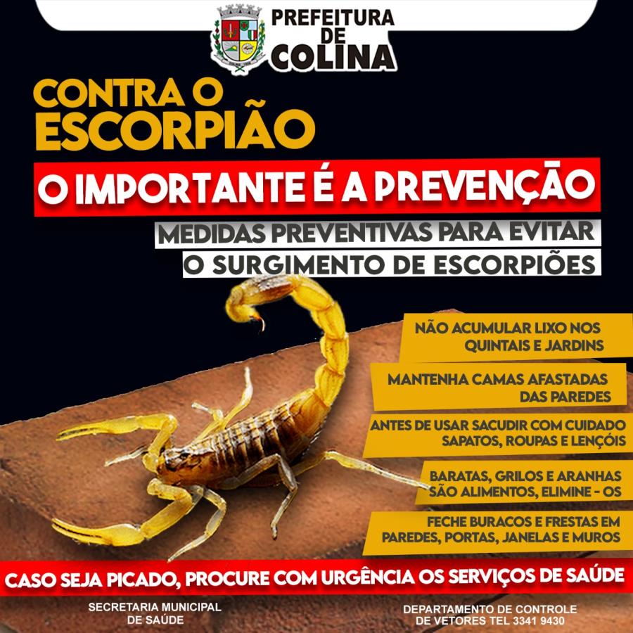 Prefeitura de Colina alerta população para os cuidados preventivos com escorpiões 