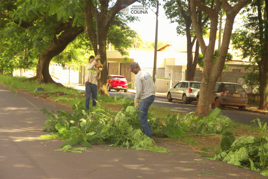 Prefeitura intensifica podas de árvores para garantir mais segurança e melhor iluminação pública.