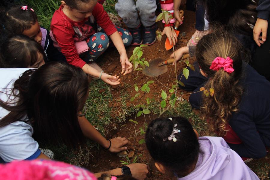 Em comemoração ao Dia da Árvore, Casa da Agricultura promove atividade em escola infantil
