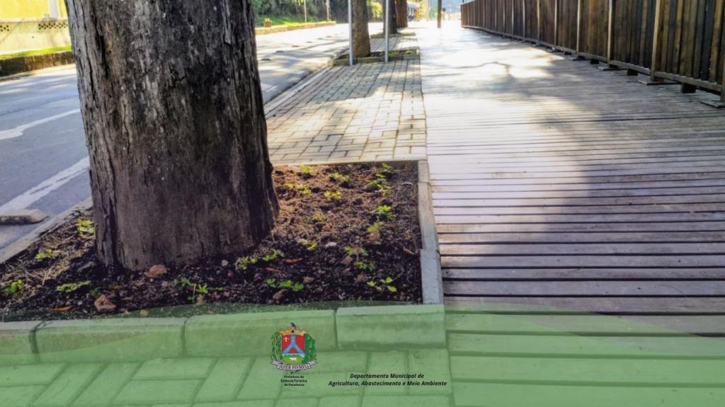 Prefeitura reforça pedido de preservação dos canteiros recém-plantados na Avenida Beira Rio